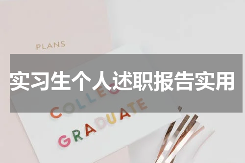 实习生个人述职报告实用