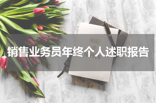 销售业务员年终个人述职报告