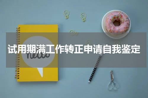 试用期满工作转正申请自我鉴定