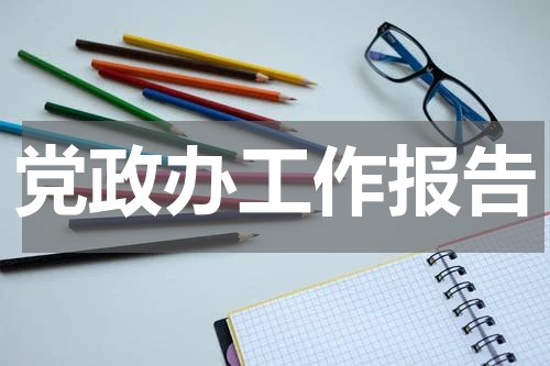 党政办工作报告