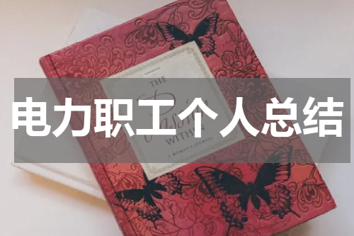 电力职工个人总结