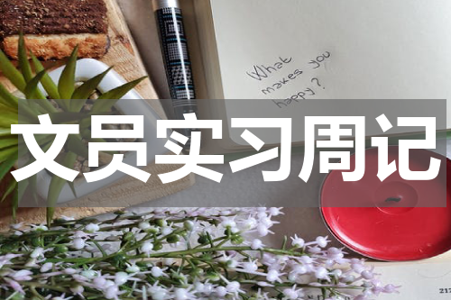文员实习周记