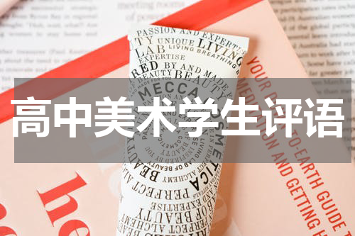 高中美术学生评语