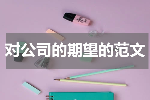 对公司的期望的范文