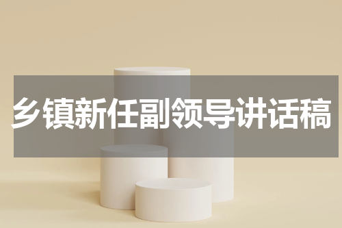 乡镇新任副领导讲话稿