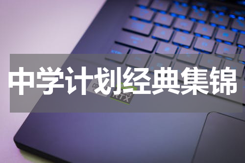 中学计划经典集锦