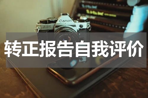 转正报告自我评价