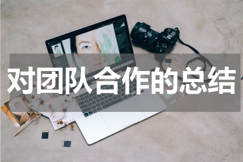 对团队合作的总结