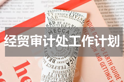 经贸审计处工作计划