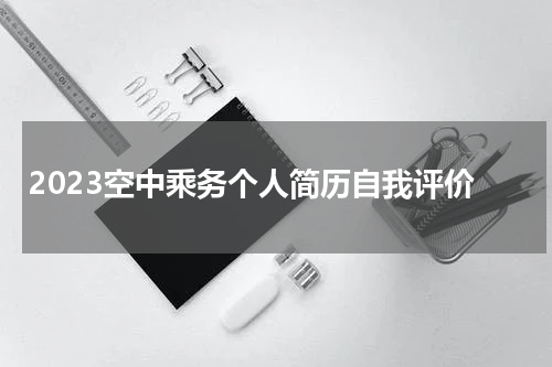 2023空中乘务个人简历自我评价