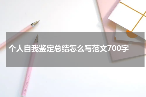 个人自我鉴定总结怎么写范文700字