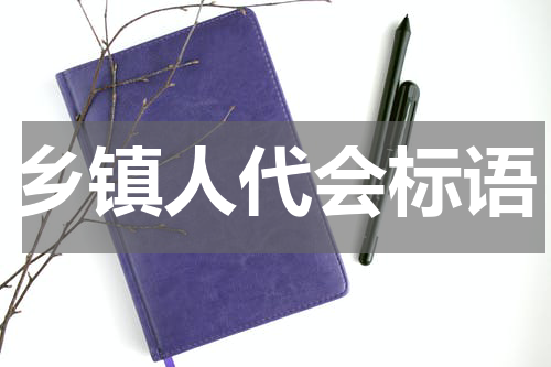 乡镇人代会标语