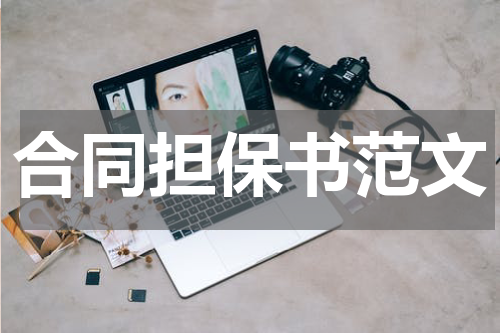 合同担保书范文