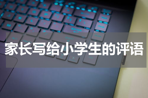 家长写给小学生的评语