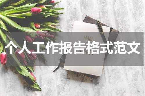个人工作报告格式范文