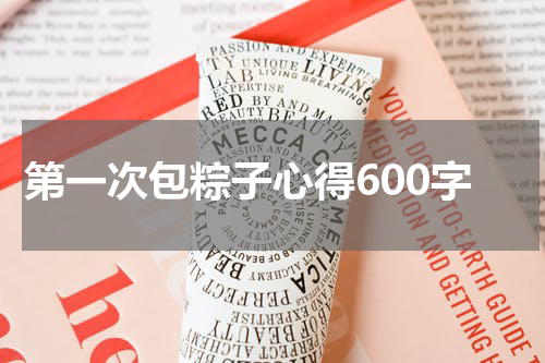 第一次包粽子心得600字