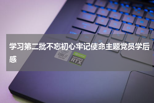 学习第二批不忘初心牢记使命主题党员学后感