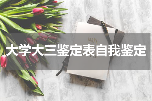 大学大三鉴定表自我鉴定