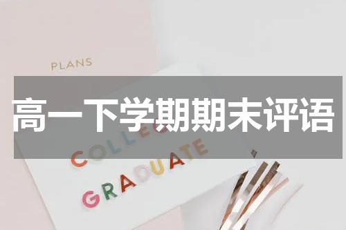 高一下学期期末评语
