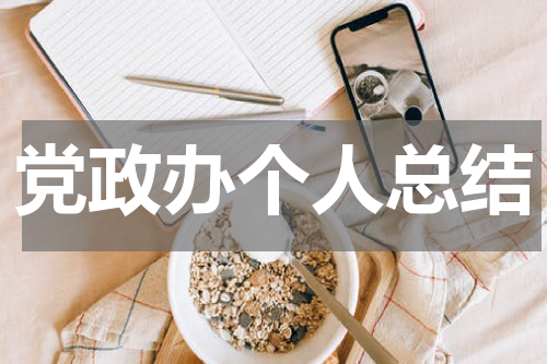 党政办个人总结