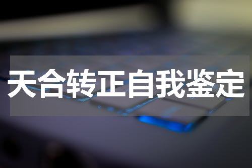 天合转正自我鉴定