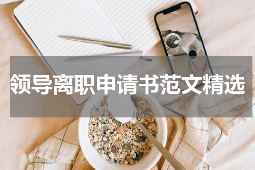领导离职申请书范文精选