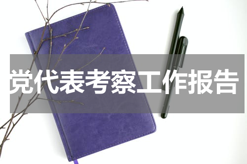 党代表考察工作报告