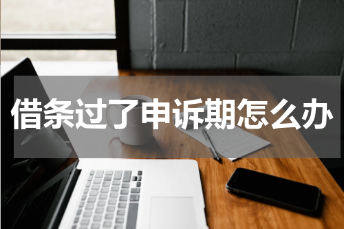 借条过了申诉期怎么办