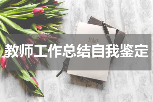 教师工作总结自我鉴定