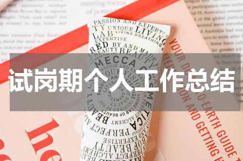 试岗期个人工作总结