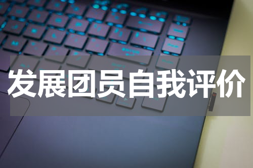 发展团员自我评价