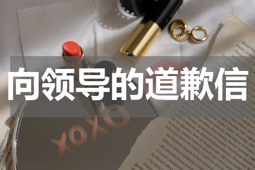 向领导的道歉信