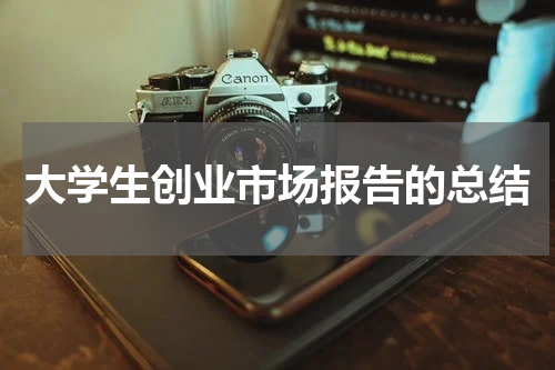大学生创业市场报告的总结