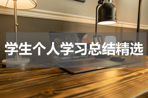 学生个人学习总结精选