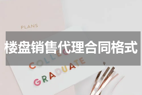 楼盘销售代理合同格式