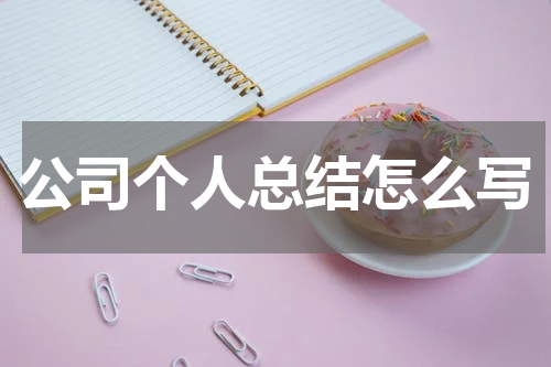 公司个人总结怎么写