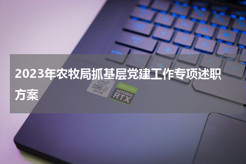 2023年农牧局抓基层党建工作专项述职方案