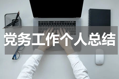 党务工作个人总结