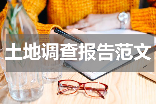 土地调查报告范文