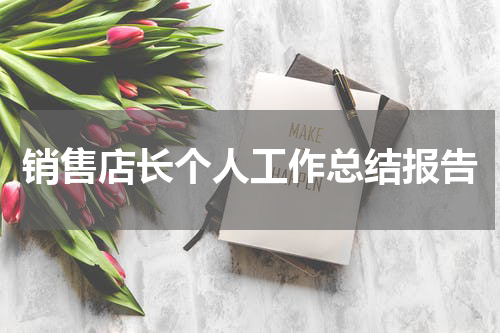 销售店长个人工作总结报告