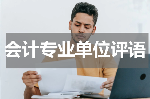 会计专业单位评语