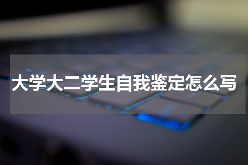大学大二学生自我鉴定怎么写