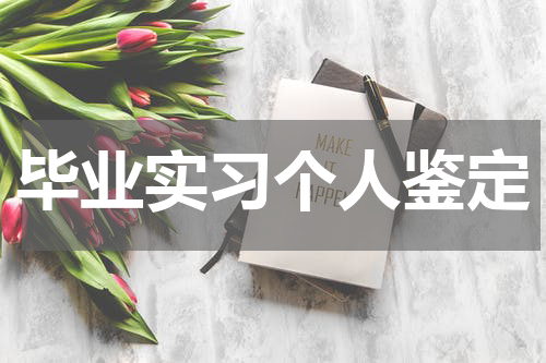 毕业实习个人鉴定