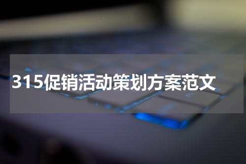 315促销活动策划方案范文
