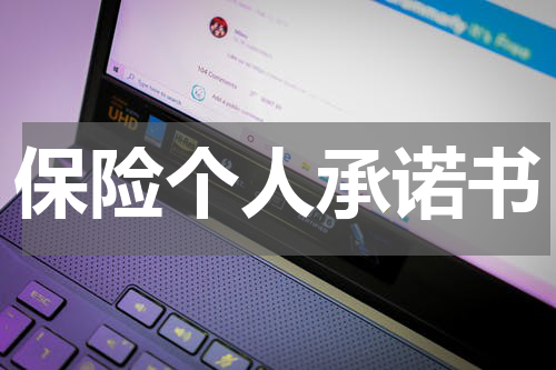 保险个人承诺书