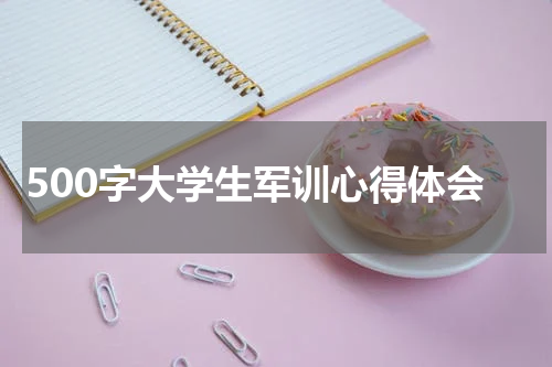 500字大学生军训心得体会
