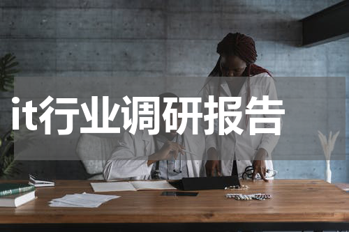 it行业调研报告