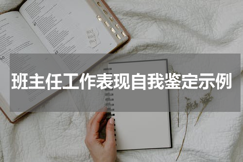 班主任工作表现自我鉴定示例