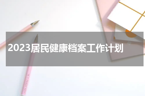 2023居民健康档案工作计划