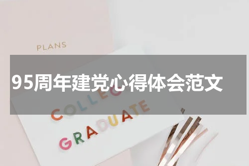 95周年建党心得体会范文